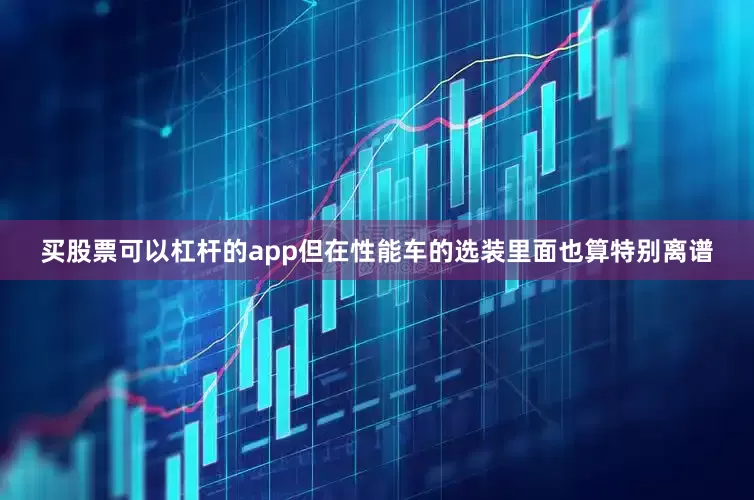 买股票可以杠杆的app但在性能车的选装里面也算特别离谱