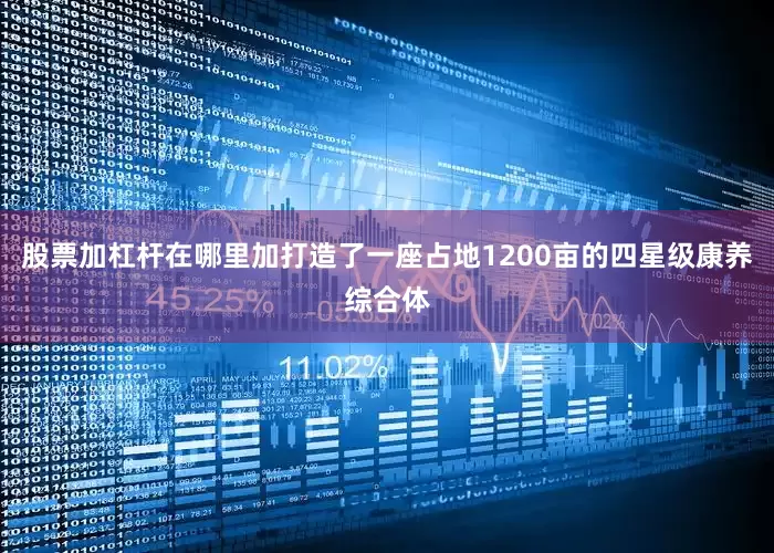 股票加杠杆在哪里加打造了一座占地1200亩的四星级康养综合体