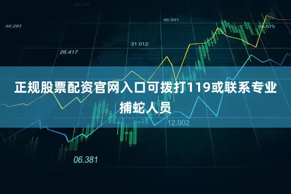 正规股票配资官网入口可拨打119或联系专业捕蛇人员