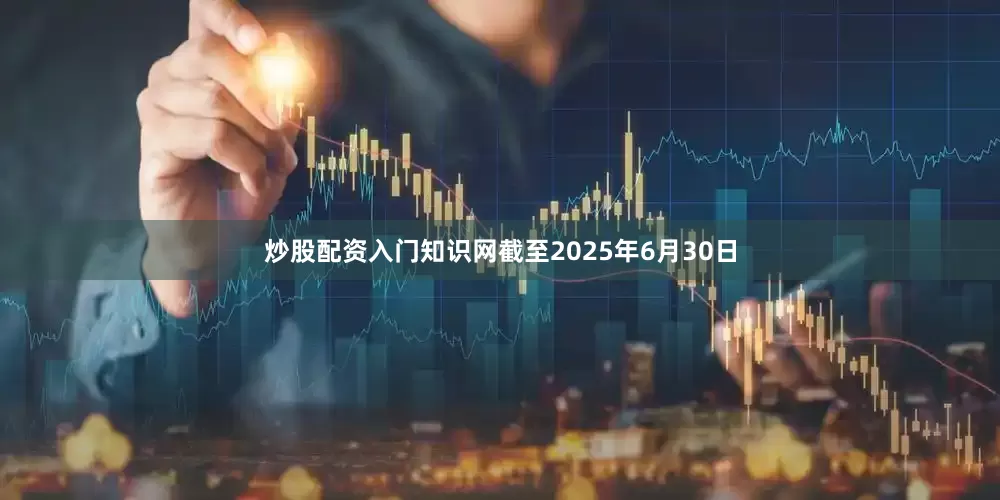 炒股配资入门知识网　　截至2025年6月30日