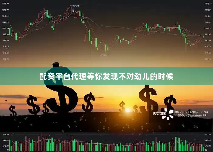 配资平台代理等你发现不对劲儿的时候