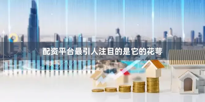 配资平台最引人注目的是它的花萼