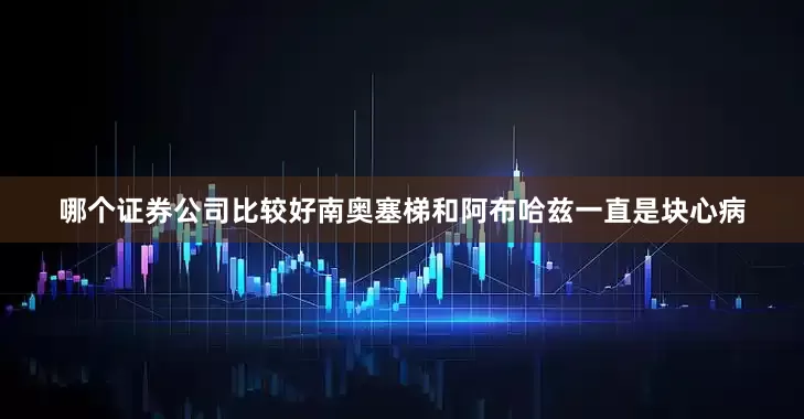 哪个证券公司比较好南奥塞梯和阿布哈兹一直是块心病